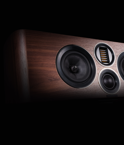 center_grande.png?v=1575647379