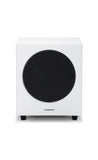 WH-D10 Active Subwoofer