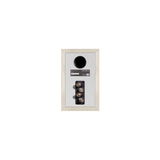 Diamond 12.0 Bookshelf Speakers In Light Oak (Back)